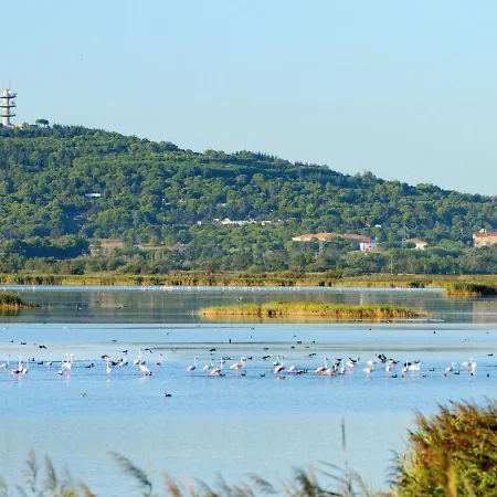 Appartement Les Maldives-3 By Interhome Agde